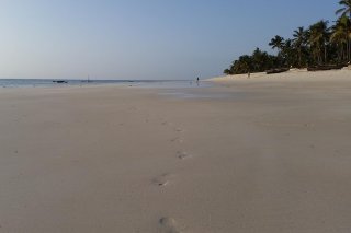beach-img01