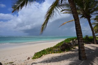 beach-img07