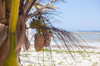 beach-img18