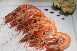 dining-img09