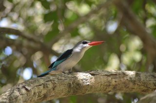nature-img01
