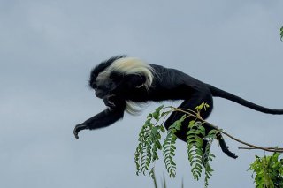 nature-img06