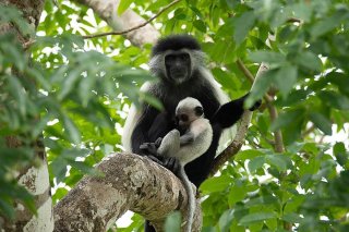nature-img07
